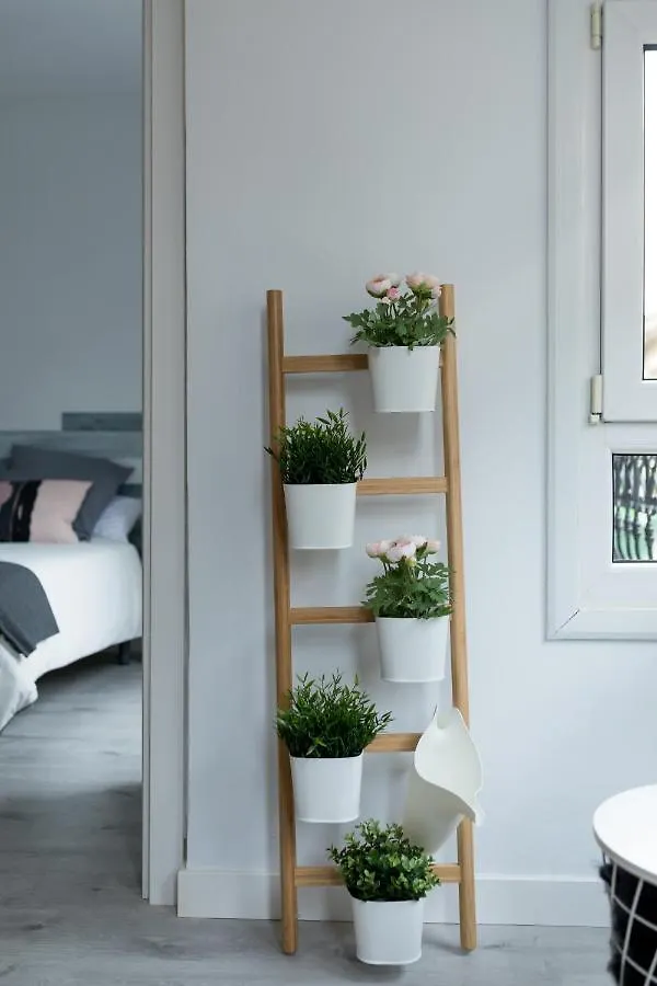 Belgrano Beach & Oldtown By Beauty Rentals San Sebastian Apartment